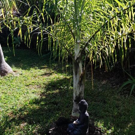 Kaz A Nine Villa Saint Pierre Ngoại thất bức ảnh