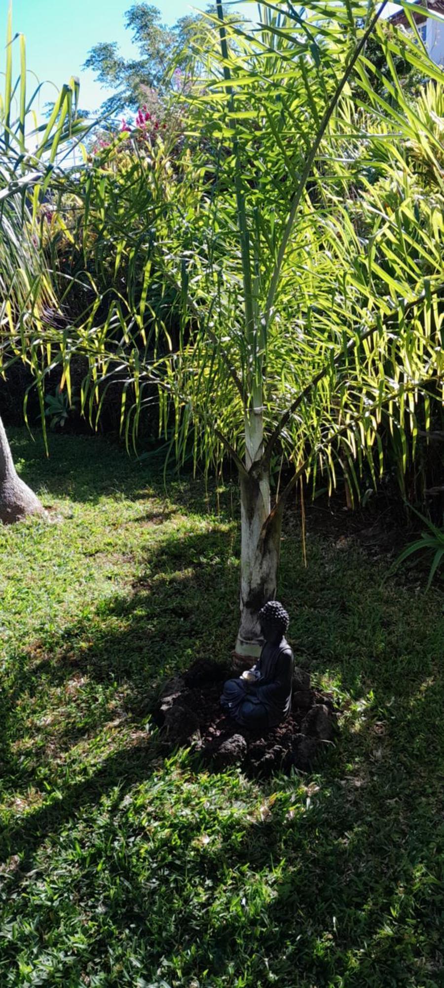 Kaz A Nine Villa Saint Pierre Ngoại thất bức ảnh